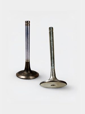 Engine Valve For Two Wheeler